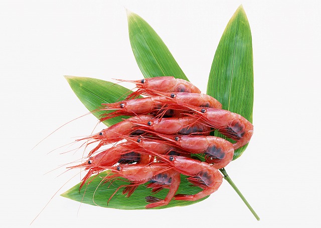 エビ | ためになる食材辞典